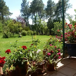 Vakantiehuis Domaine Du Planas - Patio, Ailhon